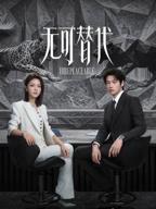 《无可替代》电视剧