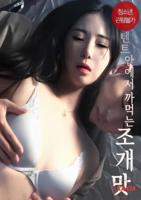 《帐中娇妾》